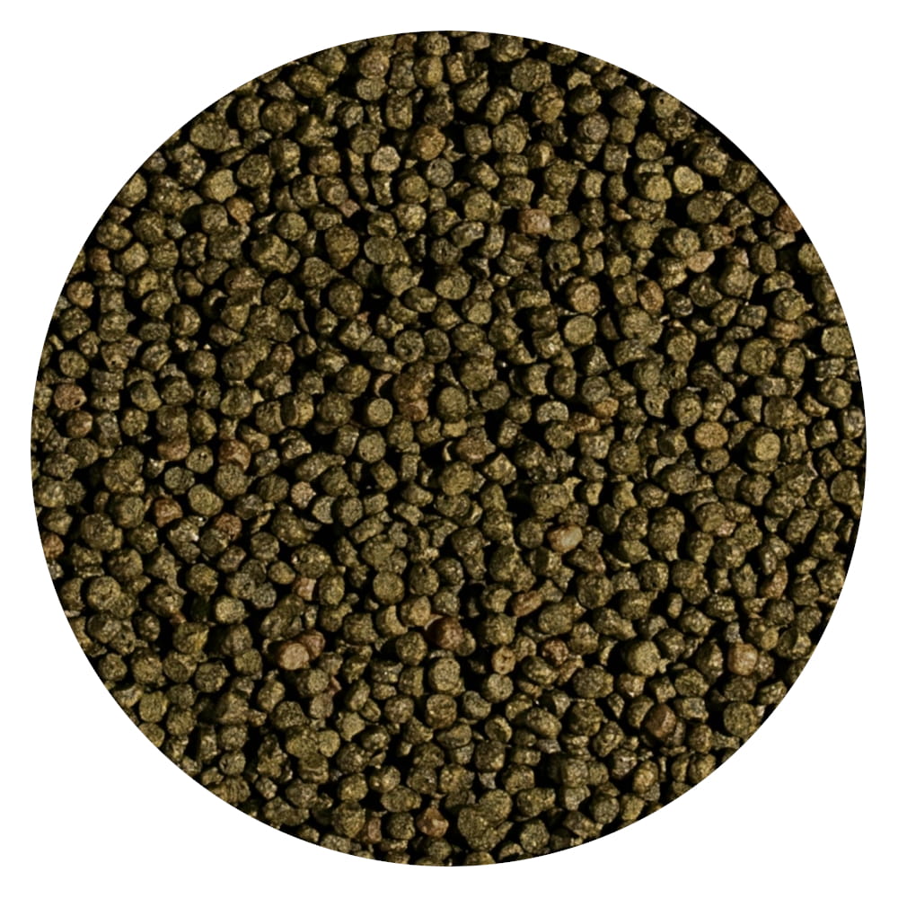 Koi Wheat Germ&Garlic Pellet S.jpg